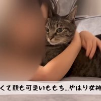 テロップ「性格良くて～」