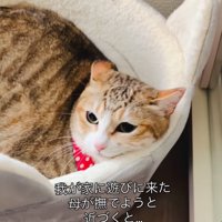 ベッドを回す