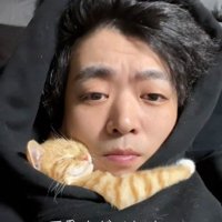 人に抱き着いて寝ている子猫