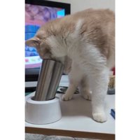 猫とタンブラー