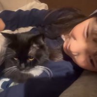 布団に潜り込んでいる猫と隣で寝ている子ども