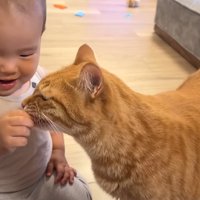猫におやつをあげる赤ちゃん