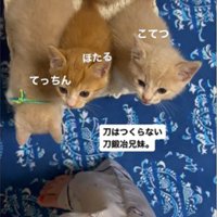 人の足元で鳴いている3匹の子猫