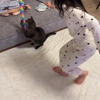 猫じゃらしをキャッチ