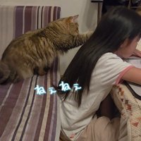 子どもの肩に片方の前足を乗せる猫
