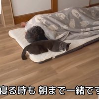 テロップ「寝るときも～」