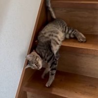 嬉しい