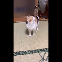 振り向く姿