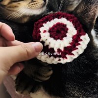 キジ白猫の頭の寸法を測るママと隣で寛ぐ子猫