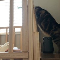 掴まり立ち