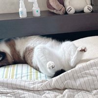 カラダのアップ