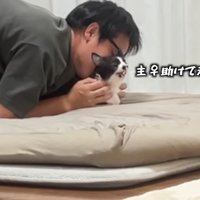 助けてぇぇ