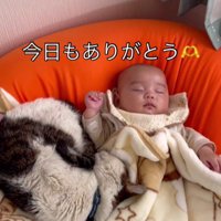 赤ちゃんと猫