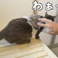 「わぁー」のテロップ写真