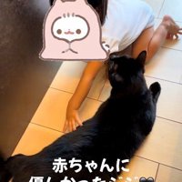 床に寝そべっている猫と座っている赤ちゃん