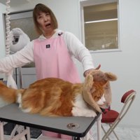 テーブルからはみ出た姿