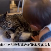 鬼絡みが始まりました
