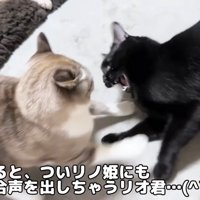 すると、つい