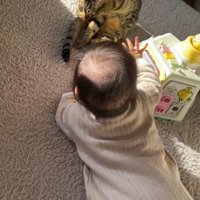 床に座っている猫と赤ちゃん