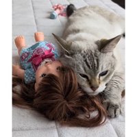 猫と人形