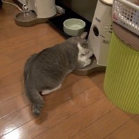 斜め上から
