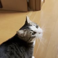 振り返り