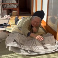 新聞にスライディングする猫