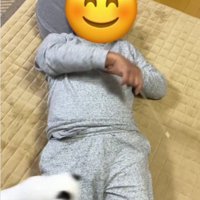 仰向けで寝ている人と猫じゃらしを追いかけている猫
