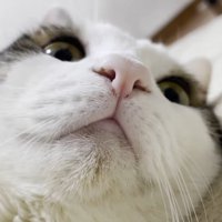 顔のドアップ