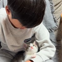男の子を見る子猫