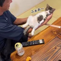 てのひらの上の猫