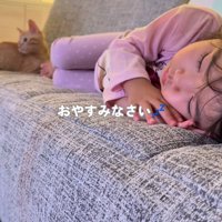 寝ている子どもの足元にいる子猫