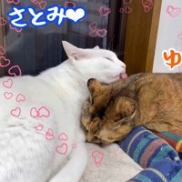 さとみちゃんと