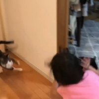 鉢合わせ