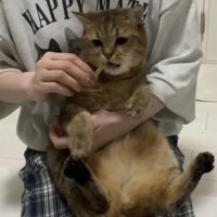 おやつをプレゼント