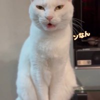 「ンなん」と書かれた写真