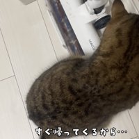 「すぐ帰ってくるから...」のテロップ写真