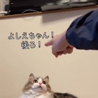 「よしえちゃん、後ろ」と書かれた写真3