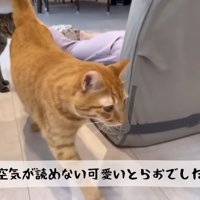 テロップ「空気が読めない～」