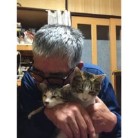 抱かれている猫