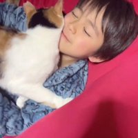 ベッドの上の男の子と猫