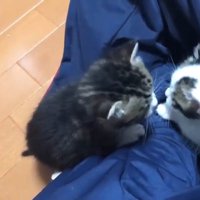 向き合うふたり