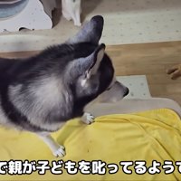 まるで親が子どもを