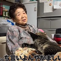 おばあちゃんと猫