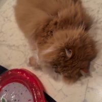 「もはや届いてない」と書かれた写真