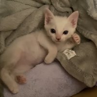 くつろぎ中