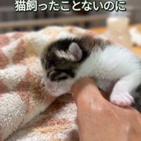 目が開いていない