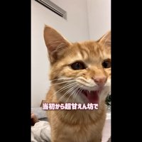当初から超甘えん坊で