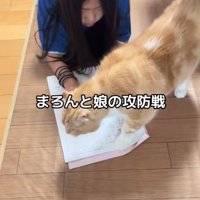 カメラに頭を向けて寝そべる子どもとプリントを踏む猫