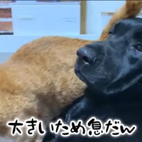 溜息をつくムニ君